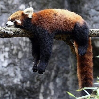 just relax!