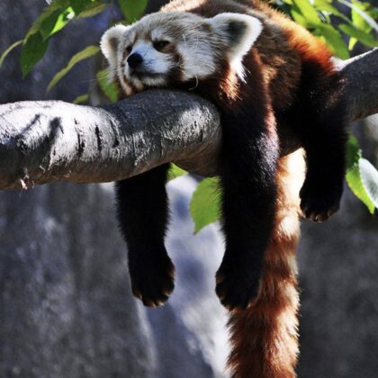 just relax!