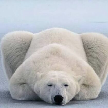 hello...