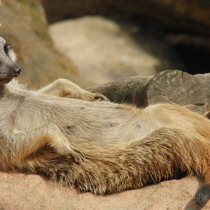 relax...